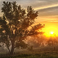 Father's day Sunrise