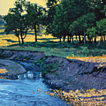 Low Water Morning