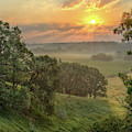 July Morning Along the Ridge