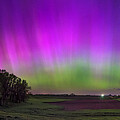 Northern Lights From The North Pasture